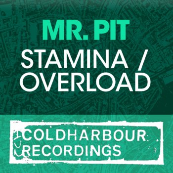 Mr. Pit Overload (Original Mix)