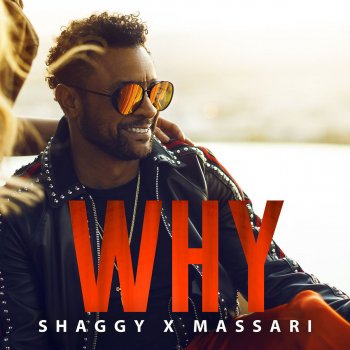 Shaggy feat. Massari Why