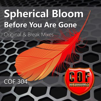 Spherical Bloom Before You Are Gone - Break Mix