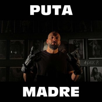 Alex P. Puta Madre (Remix)