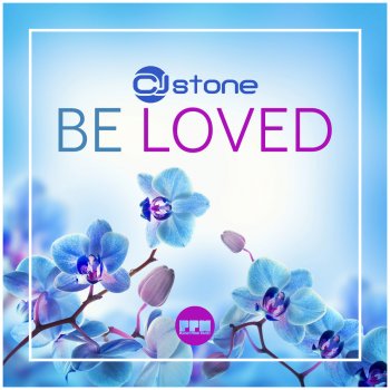 CJ Stone Be Loved (Vip Mix)