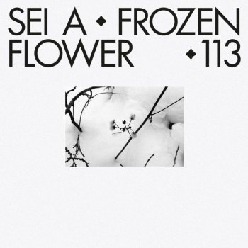 Sei A Frozen Flower - Midland Remix
