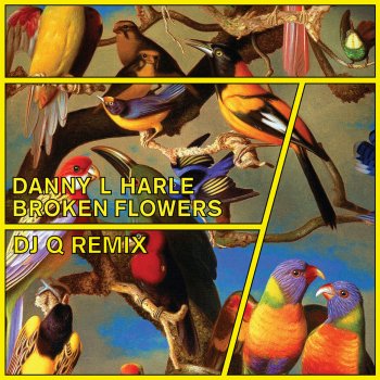 Danny L Harle Broken Flowers (DJ Q Remix)
