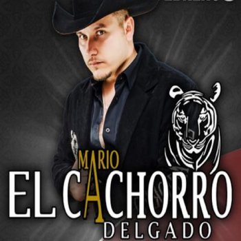 Mario "El Cachorro" Delgado El Chavalon