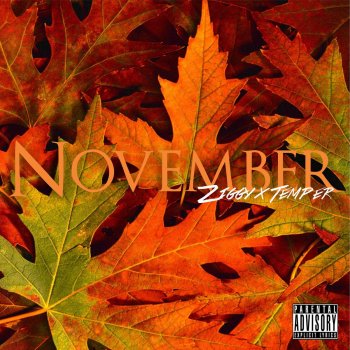 Ziggy feat. Temper November