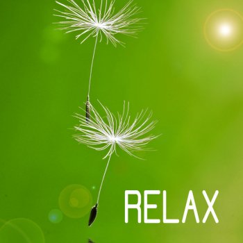 Relax Soothing Sanctuary (Relax)