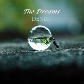 Denim The Dreams