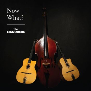 Trio Manouche Waltz For Moreno