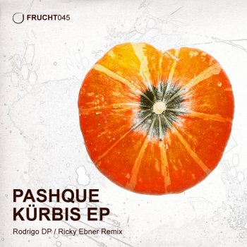 Pashque Feel Destructed - Ricky Ebner Remix