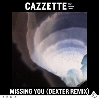 CAZZETTE feat. Parson James Missing You (Dexter Remix)