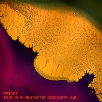 Fat Cat Fantastic Discovery - Original Mix