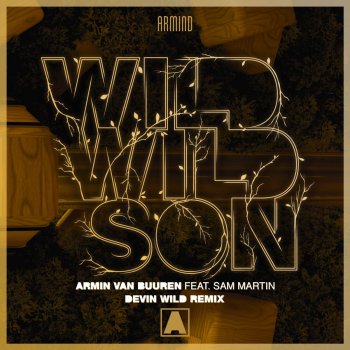 Armin van Buuren feat. Sam Martin & Devin Wild Wild Wild Son - Devin Wild Remix