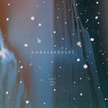 Ambassadeurs Can't You See