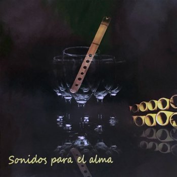 Ariel Ramírez El Vuelo del Abejorro (Cover)