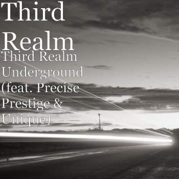 Third Realm feat. Precise Prestige & Unique Third Realm Underground (feat. Precise Prestige & Unique)