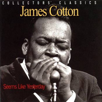James Cotton I Don't Know - Live