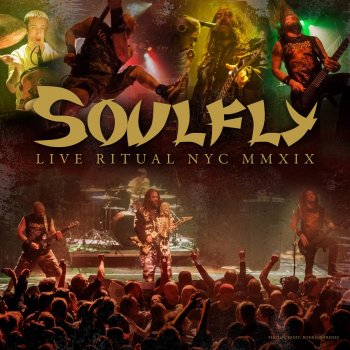 Soulfly Back to the Primitive (Live)