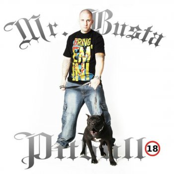 Mr.Busta A Pitbullom Meg A F*****