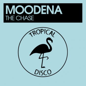 Moodena The Chase