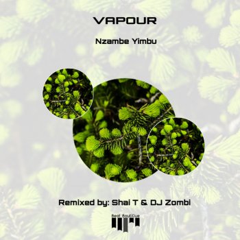 Vapour feat. DJ Zombi & Shai T Nzambe Yimbu - Shai T & DJ Zombi Remix