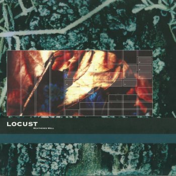 Locust Lust