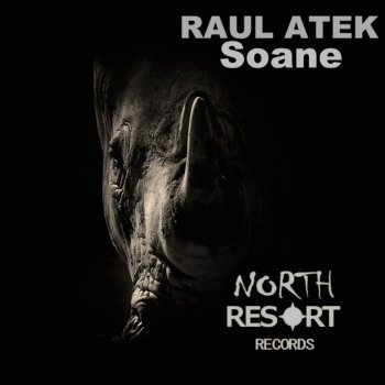Raul Atek Africa Baby - Original Mix