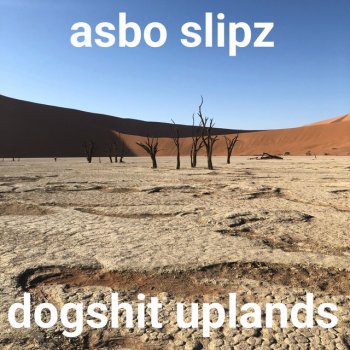 Asbo Slipz Dogshit Uplands
