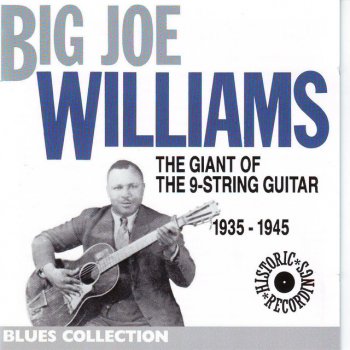Big Joe Williams Stepfather blues