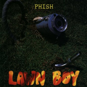 Phish Lawn Boy