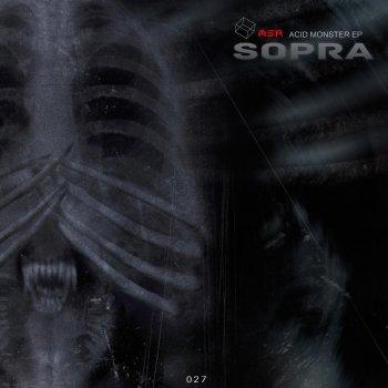 Sopra Acid Monster - Original Mix