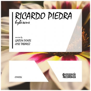 Ricardo Piedra feat. Jose Tabarez Hybiscus - Jose Tabarez Remix