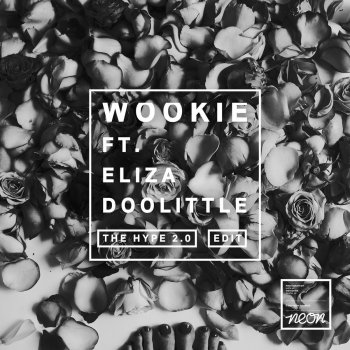 Wookie feat. Eliza Doolittle The Hype (Motez Radio Edit)