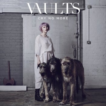 Vaults Cry No More (Sasha Remix)