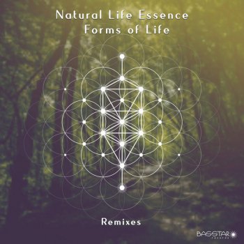 Natural Life Essence Liquid Frog (More Rain Remix)