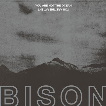 Bison Until the Earth Is Empty