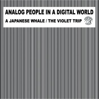 Analog People in a Digital World The Violet Trip