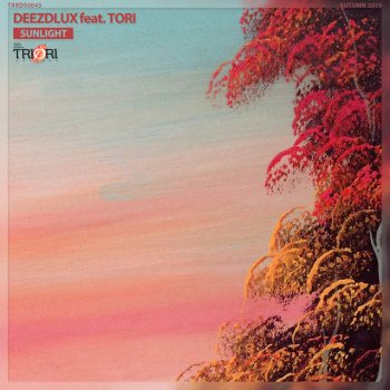DEEZDLUX feat. Tori Sunlight - Instrumental Mix