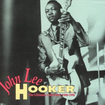 John Lee Hooker feat. Roy Rogers Terraplane Blues