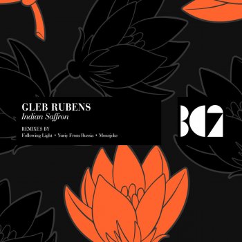 Following Light feat. Gleb Rubens Indian Saffron - Following Light Remix