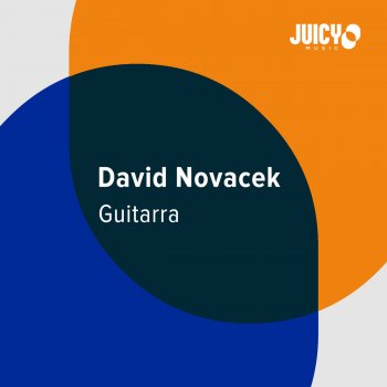 David Novacek Guitarra