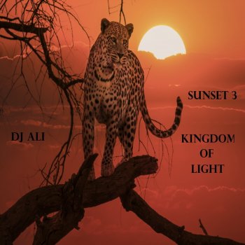 DJ Ali Sunset Supremacy