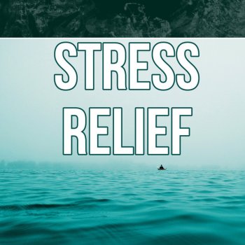 Anti Stress Music Zone Yoga & Meditation