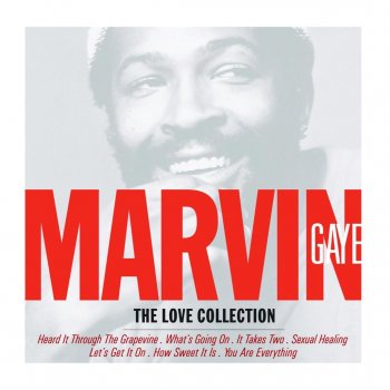 Marvin Gaye You're a Wonderful One (Stereo)