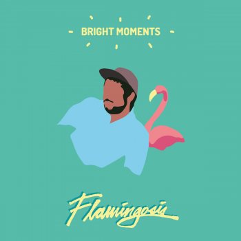 Flamingosis Feelings of Sentimentality Due to Getting Curved