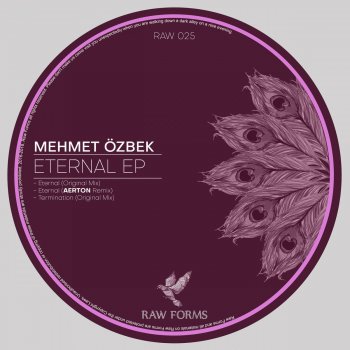 Mehmet Özbek Eternal (Aerton Remix)