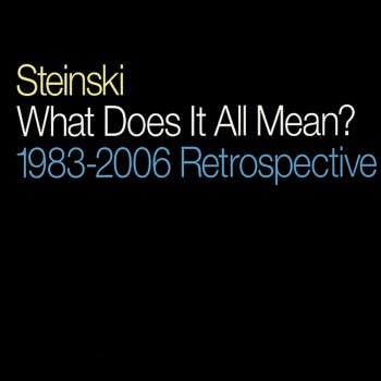 Steinski Everything's Disappeared