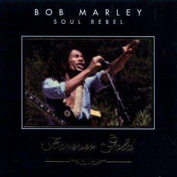 Bob Marley feat. The Wailers Can't You See