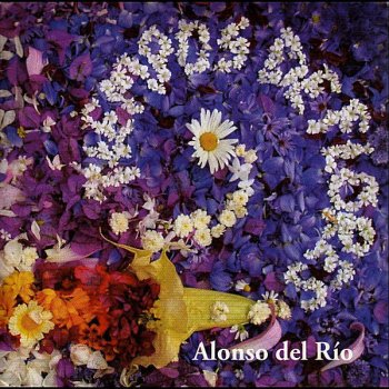 Alonso Del Rio Tiempos de Flores
