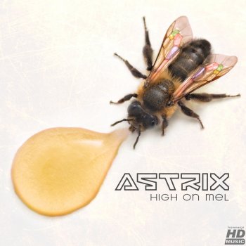 Astrix High on Mel (original mix)