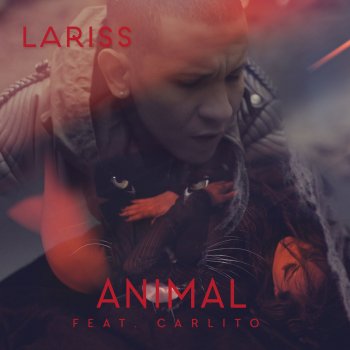 Lariss feat. Carlito Animal